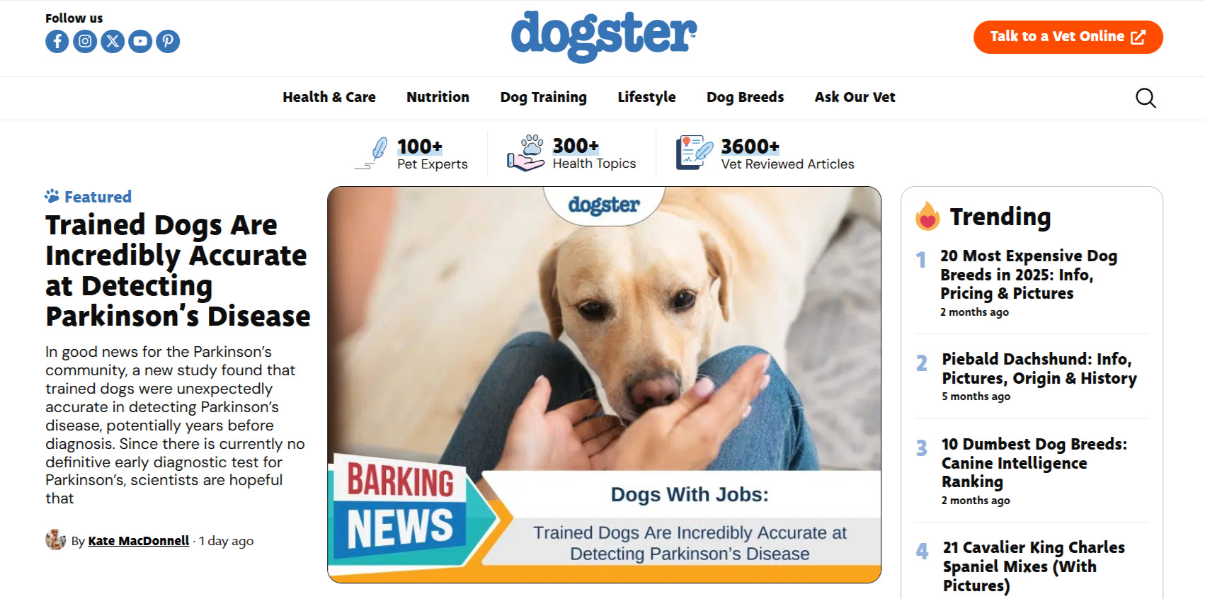 Dogster Homepage